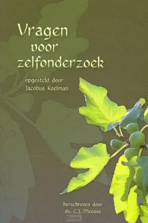 Vragen voor zelfonderzoek Lage Kosten