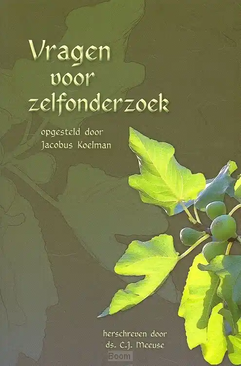 Vragen voor zelfonderzoek Lage Kosten