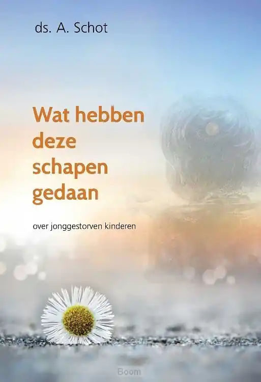 Meest Verkocht Wat hebben deze schapen gedaan