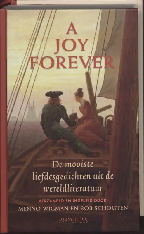 Nieuw A Joy Forever - Menno Wigman en Rob Schouten