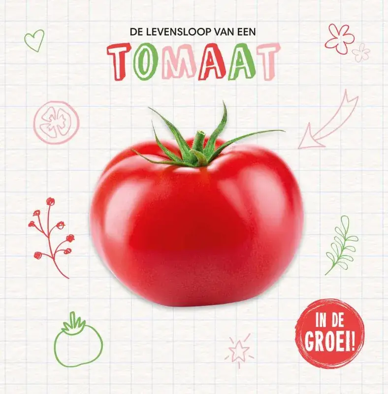 Tomaat Gecertificeerd