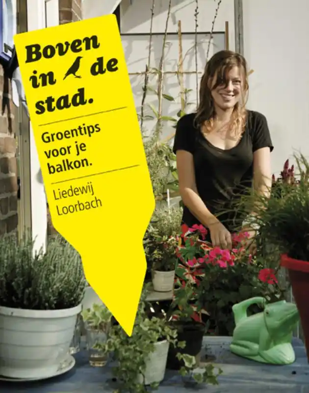 Gereduceerde Prijs Boven in de stad - Liedewij Loorbach