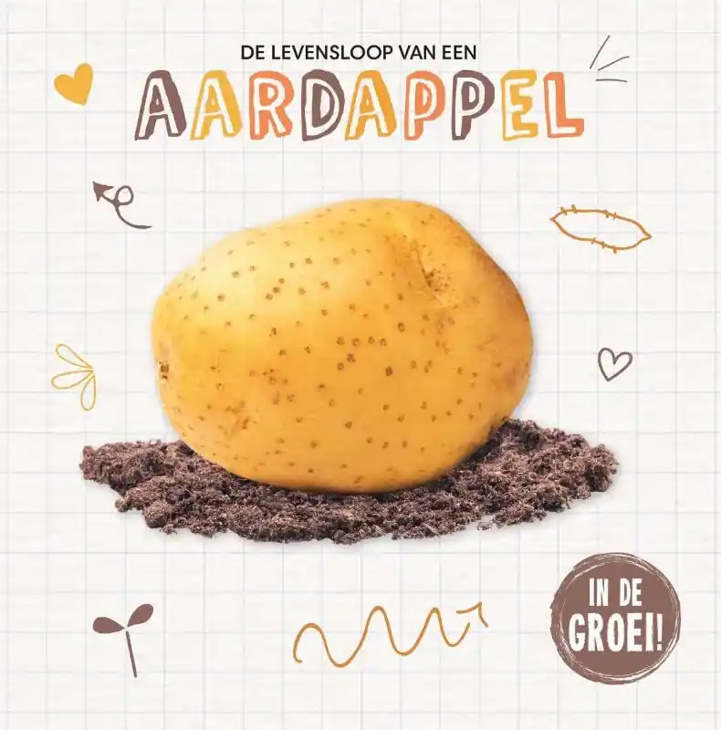 Aardappel Hoge Kwaliteit