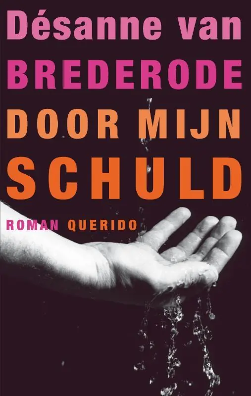 Door mijn schuld - Désanne van Brederode Koopje