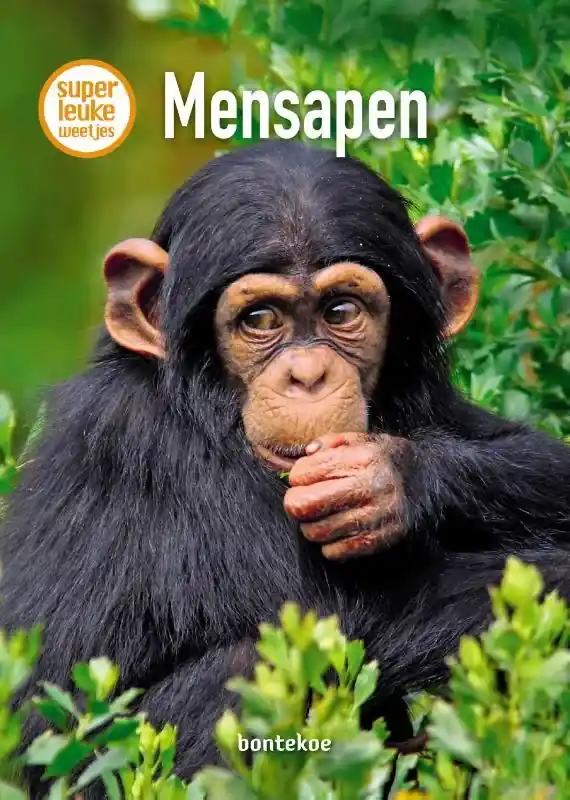 Mensapen Koop Online