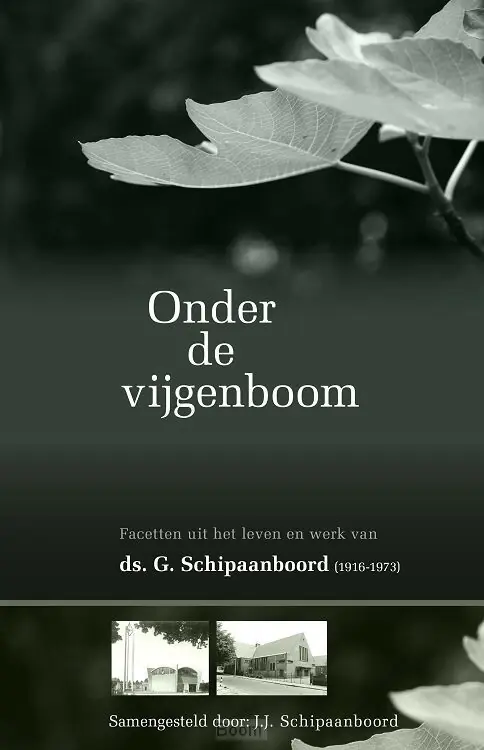 Onder de vijgenboom Hoge Kwaliteit