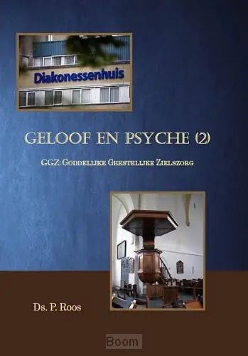 Gereduceerde Prijs Geloof en psyche 2