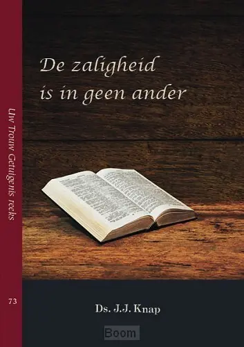 De zaligheid is in geen ander Gereduceerde Prijs