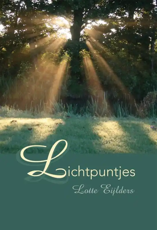 Aanbieding Lichtpuntjes - Lotte Eijlders