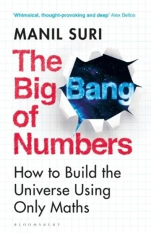 The Big Bang of Numbers - Manil Suri Goedkoop