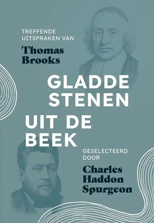 Snelle Levering Gladde stenen uit de beek