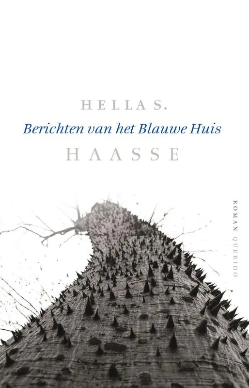 Berichten van het blauwe huis - Hella S. Haasse Aanbieding
