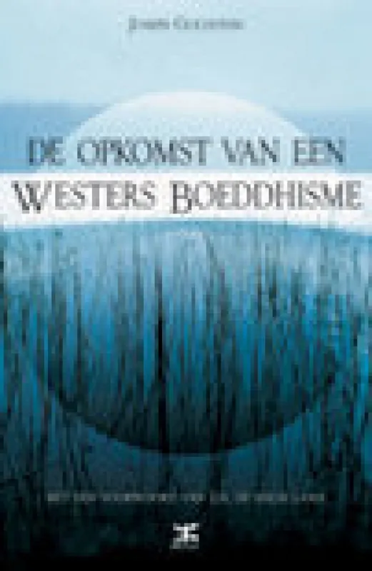De opkomst van een westers boeddhisme - J. Goldstein Beste Prijs