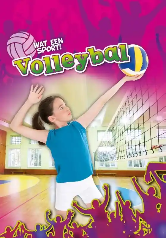 Lage Kosten Volleybal