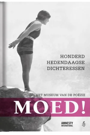 Dagaanbieding Moed! - Bronkhorst Daan; Amnesty International