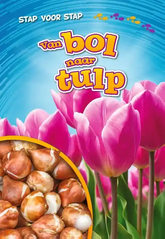 Van bol naar tulp Meest Verkocht
