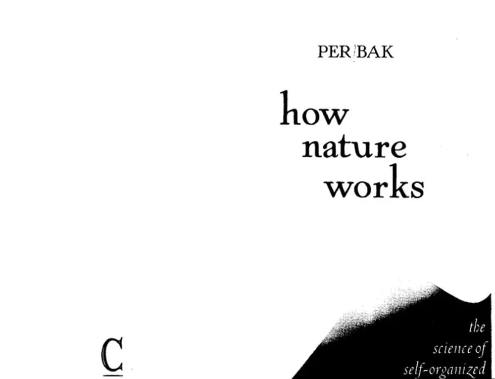 How Nature Works: The Science of Self-organized Criticality - Per Bak Laatste Kans
