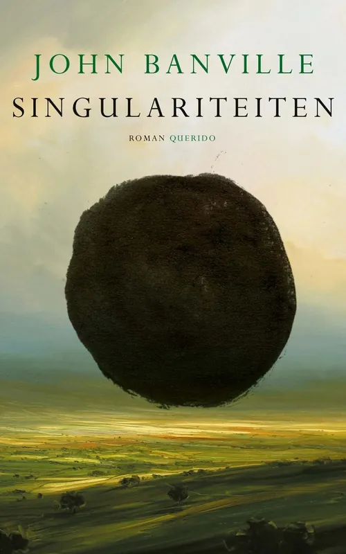 Singulariteiten - John Banville Tijdelijk Beschikbaar