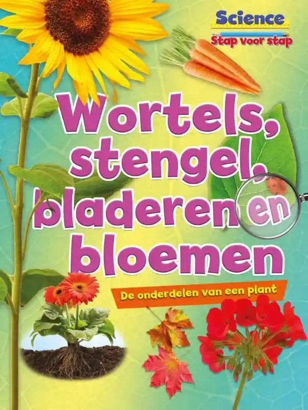 Tijdelijk Beschikbaar Wortels, stengels, bladeren en bloemen