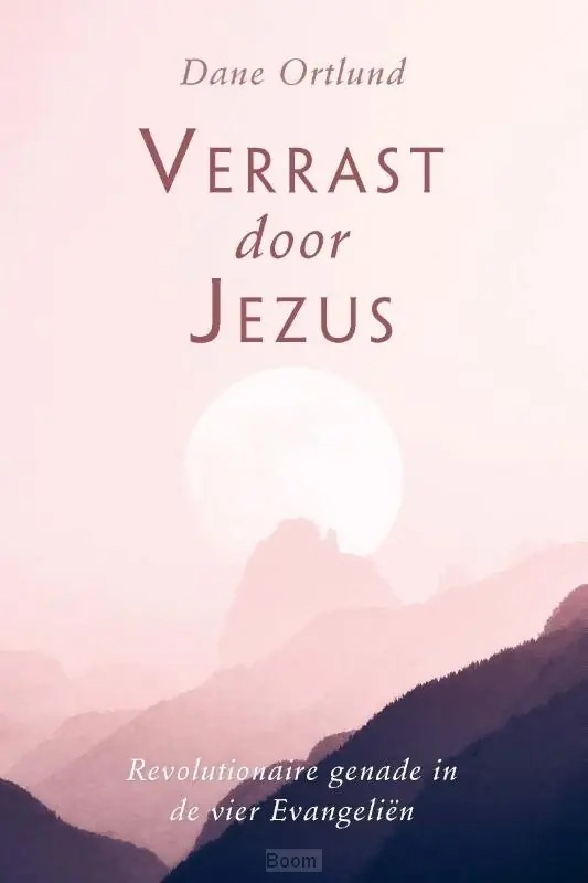 Aanbieding Verrast door Jezus