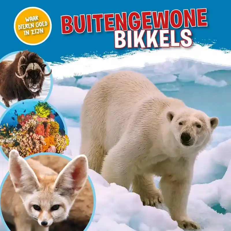 Bestel Nu Buitengewone bikkels