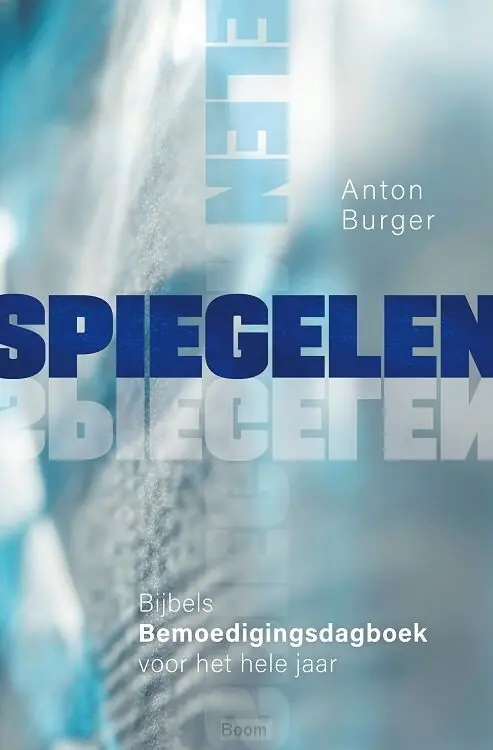 Spiegelen Betaalbaar