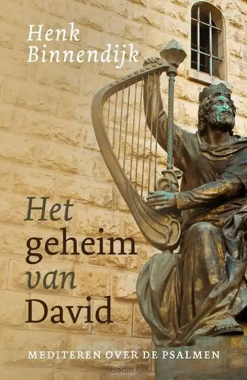 Flitsaanbieding Het geheim van David