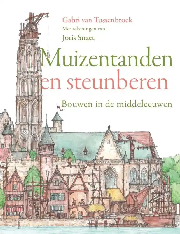 Muizentanden en steunberen Aanbieding