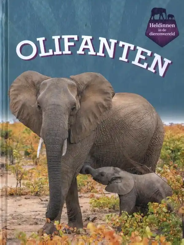 Olifanten Meest Verkocht