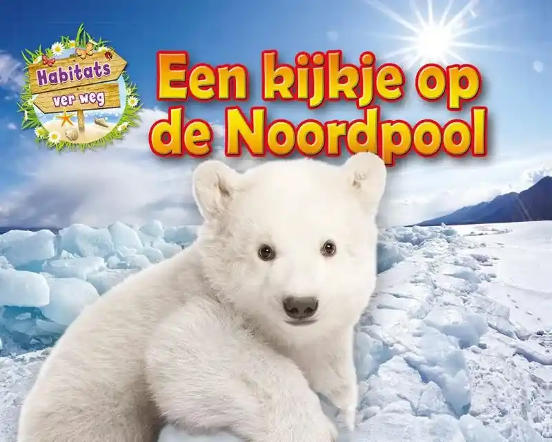 Een kijkje op de Noordpool Betaalbaar