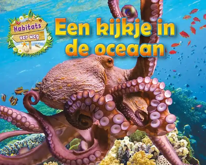 Een kijkje in de oceaan Koopje
