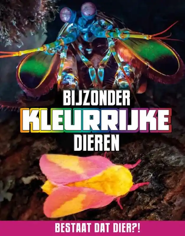 Meest Verkocht Bijzonder kleurrijke dieren