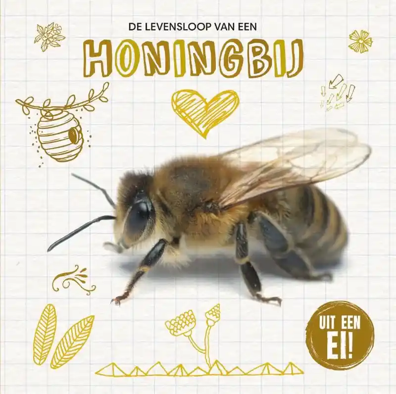 Premium De levensloop van de honingbij
