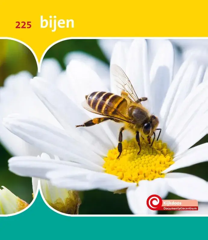 Veilige Betaling Bijen