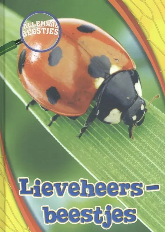 Lieveheersbeestje Hete Deal
