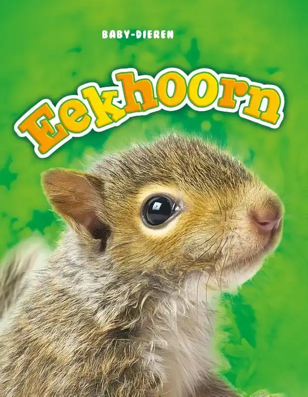 Eekhoorn Rechtstreeks Van De Fabrikant