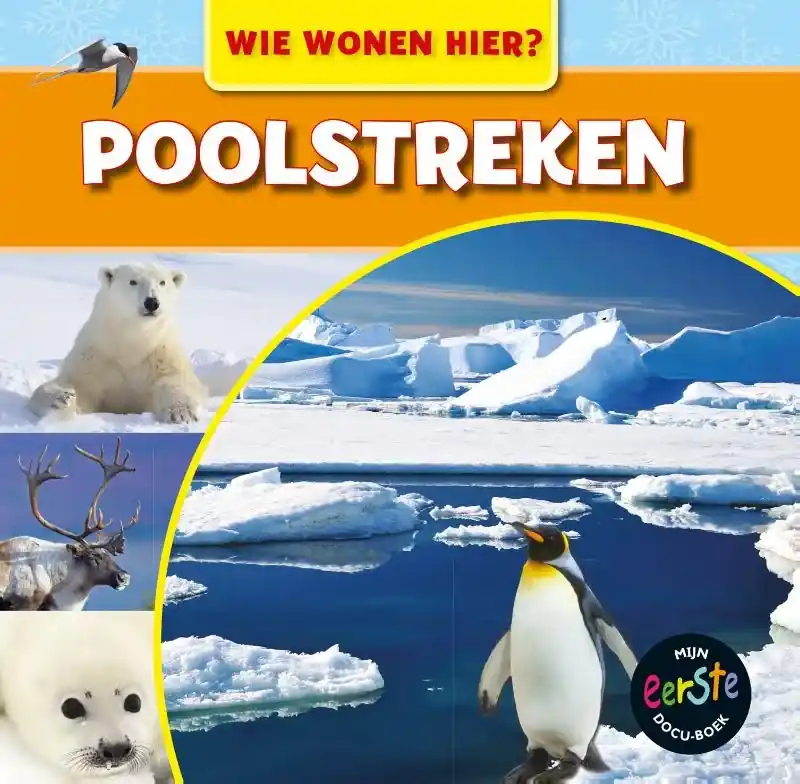 Poolgebieden Actieprijs