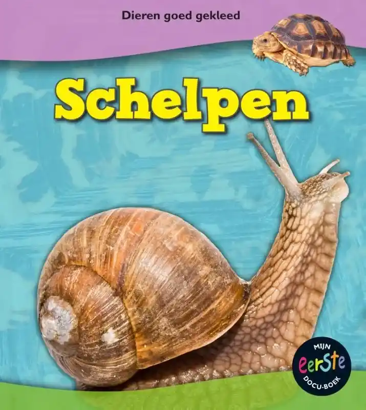 Favoriet Schelpen