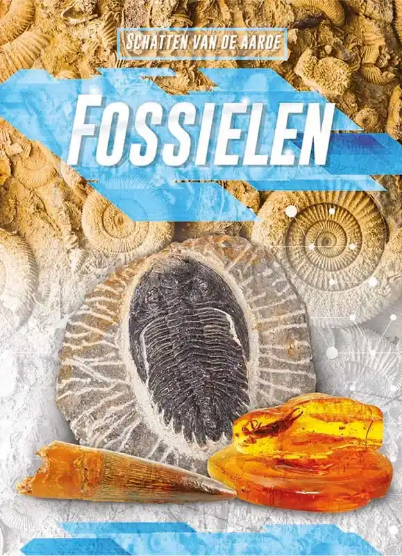 Koop Online Fossielen, Schatten van de aarde