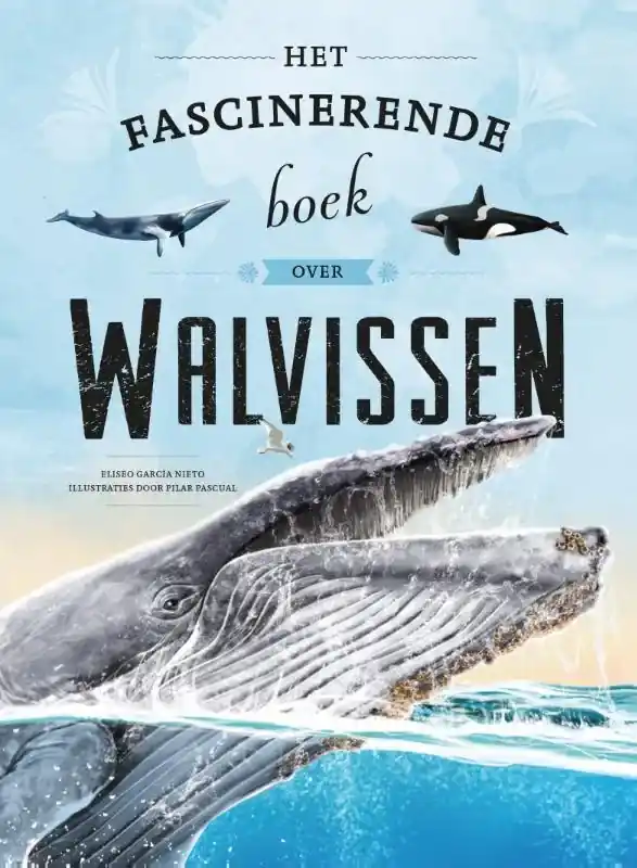 Veilige Betaling Het fascinerende boek over walvissen
