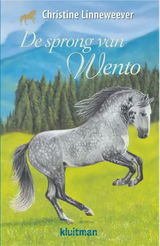 Lage Kosten De sprong van Wento