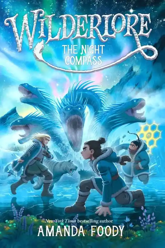 The Night Compass Shop Nu