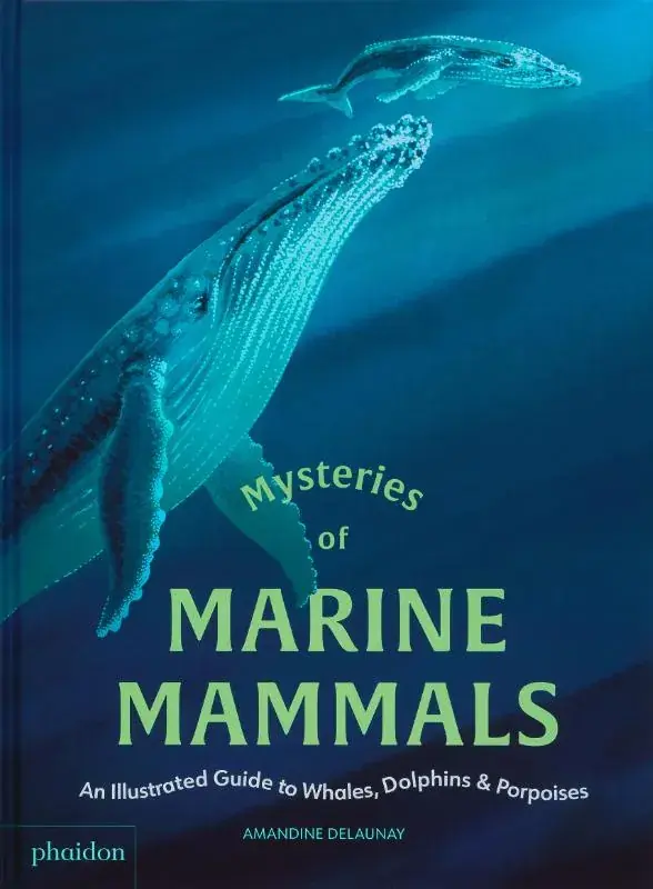 Mysteries of Marine Mammals – An Illustrated Guide to Whales, Dolphins, and Porpoises Lage Prijs