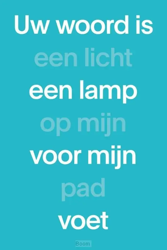 NBV1 Paperback (blauw) Voordeelprijs