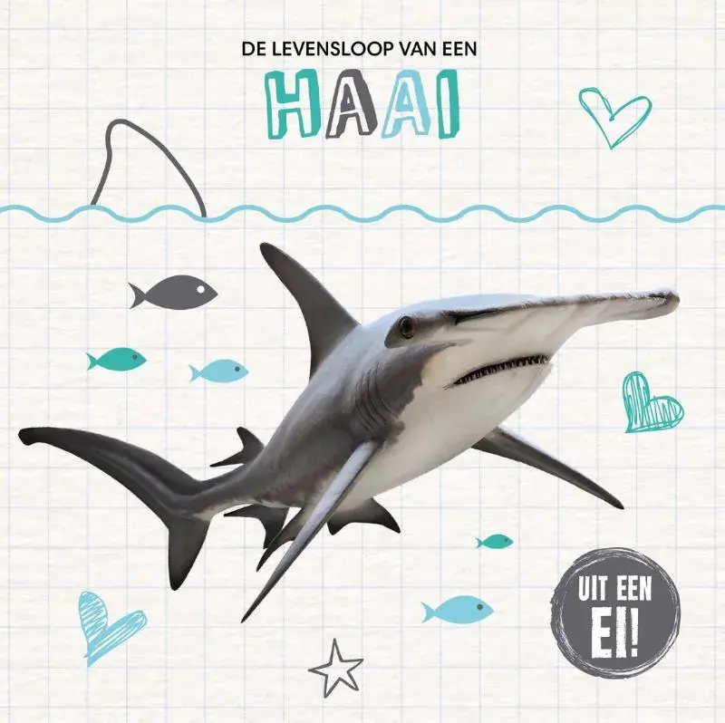 De levensloop van een haai Betrouwbaar