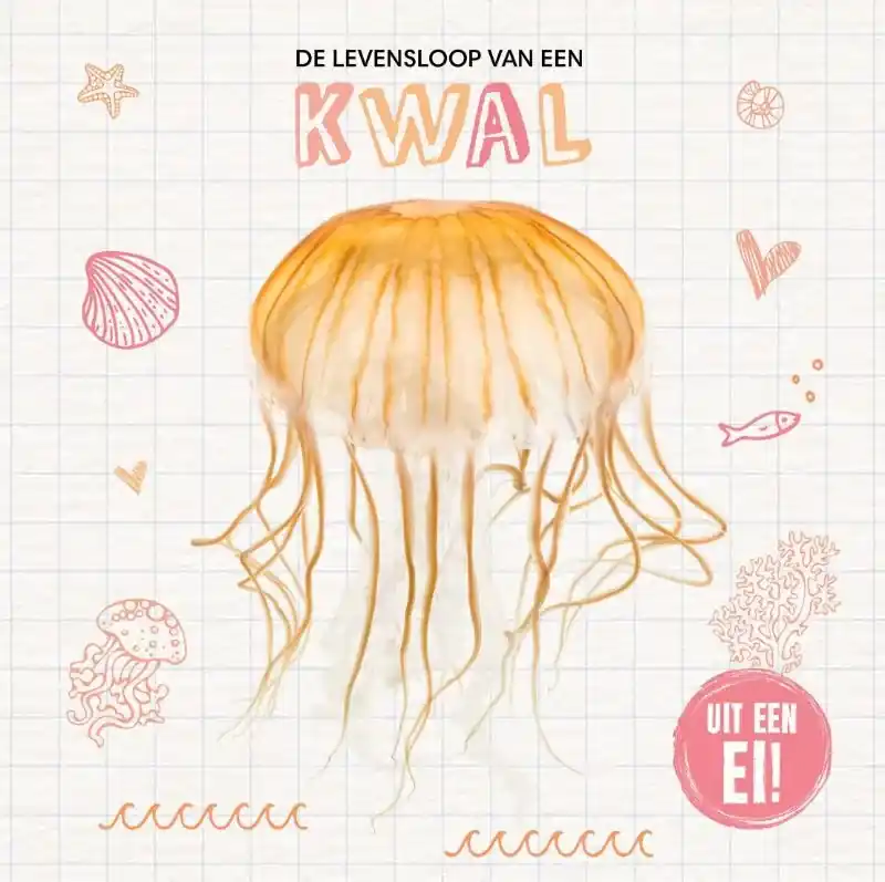 Meest Verkocht De levensloop van een kwal