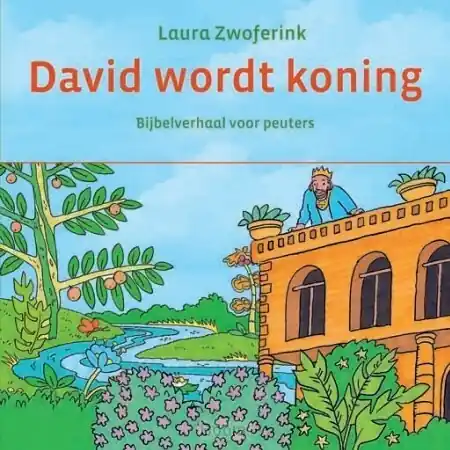 David wordt koning kartonboekje Gecertificeerd