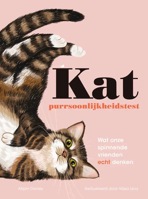 Bestel Nu Kat - Alison Davies