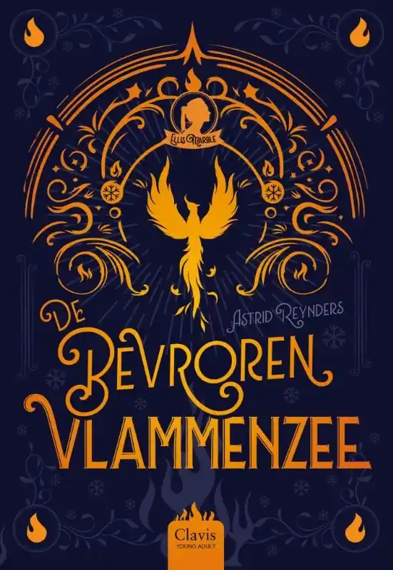 De bevroren vlammenzee Rechtstreeks Van De Fabrikant