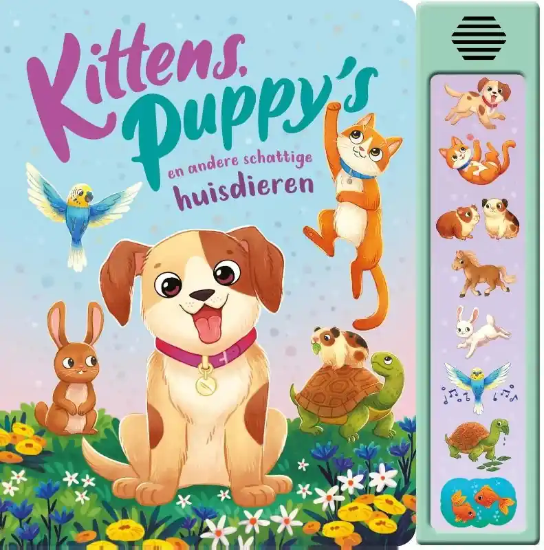 Bestel Nu Kittens, puppy's en andere schattige huisdieren